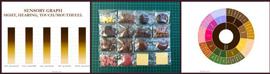 Taystful Online Chocolate Tasting Session 4th July 2021